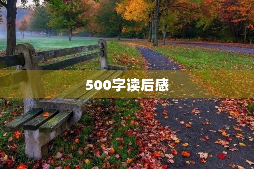 500字读后感