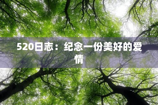 520日志:纪念一份美好的爱情 520日志:纪念一份美好的爱情