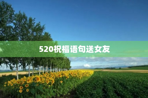 520祝福语句送女友