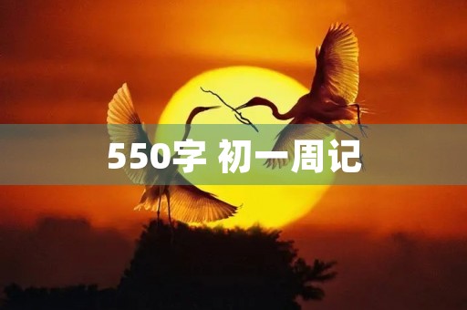 550字 初一周记 550字 初一周记