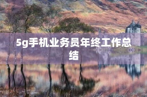 5g手机业务员年终工作总结