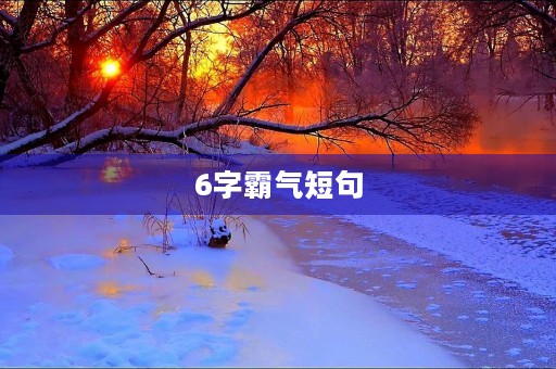 6字霸气短句(6字霸气短句名人名言)