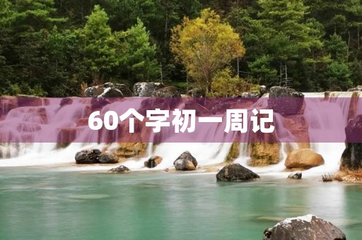 60个字初一周记
