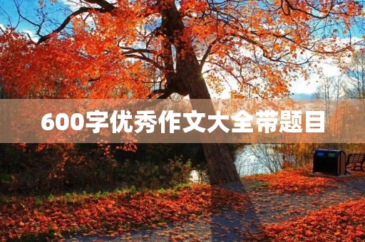 600字优秀作文大全带题目
