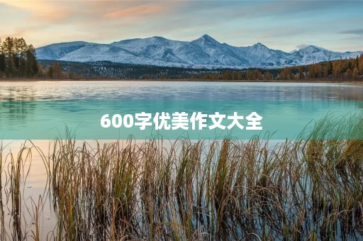 600字优美作文大全 600字优美作文大全