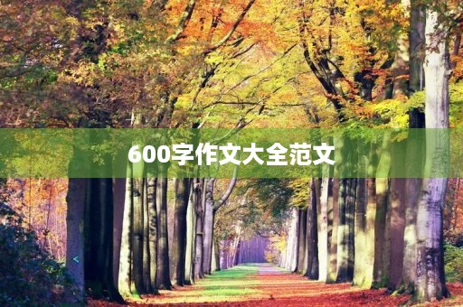600字作文大全范文