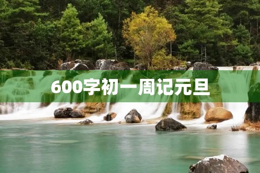 600字初一周记元旦 600字初一周记元旦