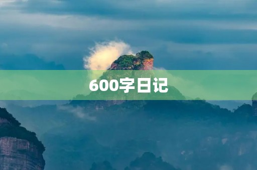 600字日记 600字日记