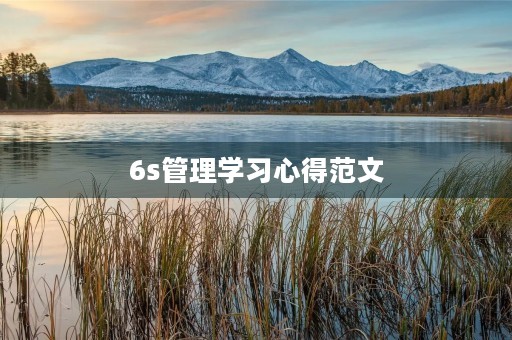 6s管理学习心得范文