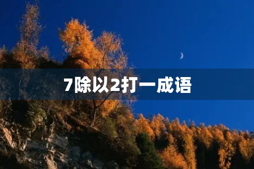 7除以2打一成语