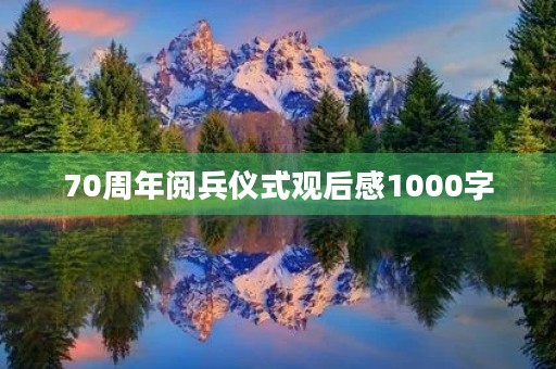 70周年阅兵仪式观后感1000字