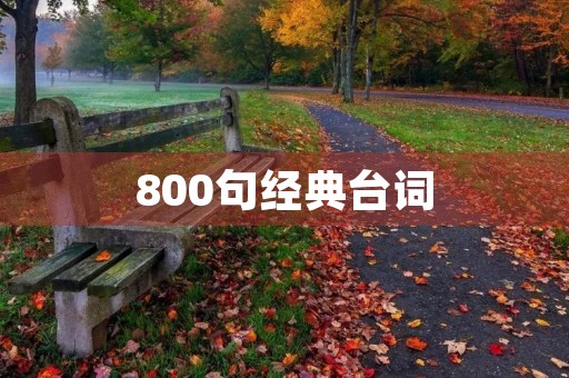 800句经典台词(100句经典台词)