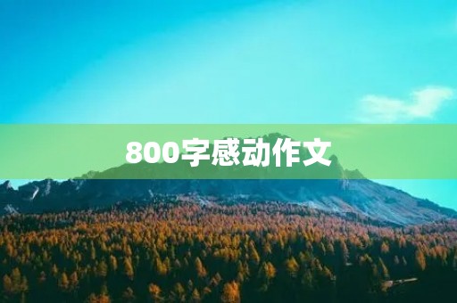 800字感动作文