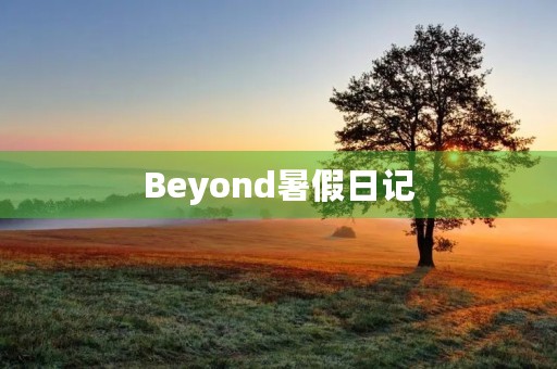 Beyond暑假日记