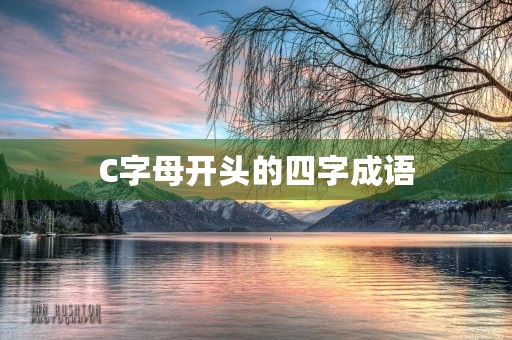 C字母开头的四字成语