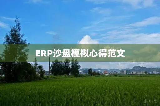 ERP沙盘模拟心得范文