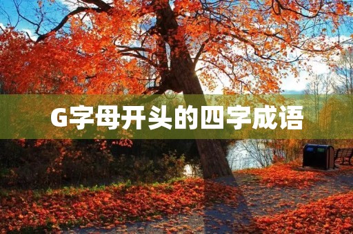 G字母开头的四字成语
