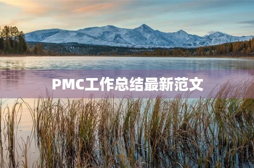 PMC工作总结最新范文