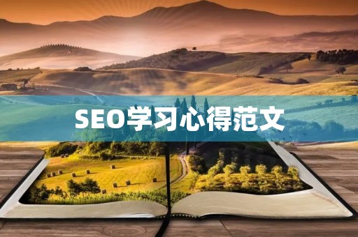 SEO学习心得范文
