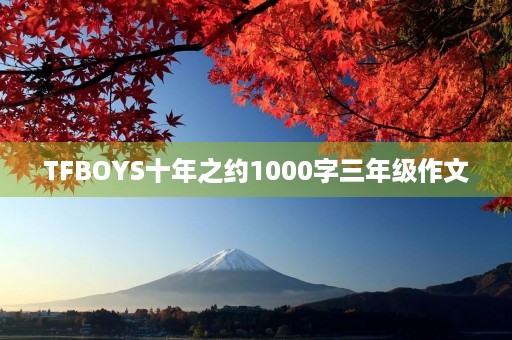 TFBOYS十年之约1000字三年级作文