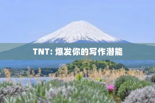 TNT: 爆发你的写作潜能 TNT: 爆发你的写作潜能