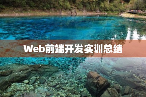 Web前端开发实训总结