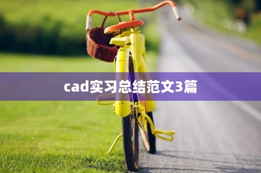 cad实习总结范文3篇
