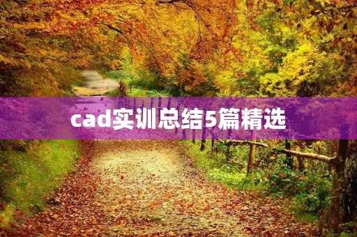 cad实训总结5篇精选