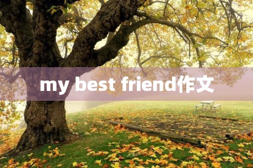 my best friend作文