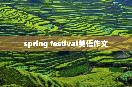 spring festival英语作文