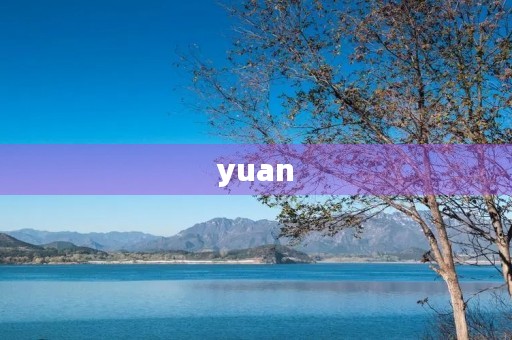 yuan(yuan)