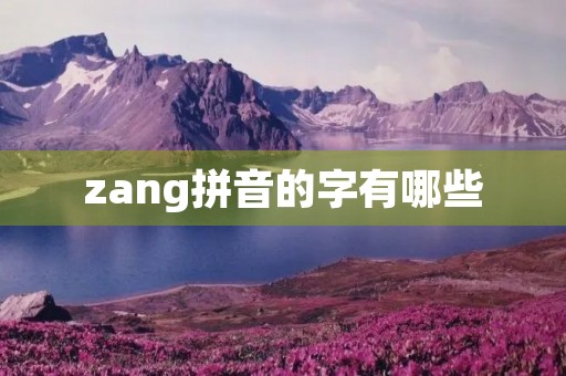 zang拼音的字有哪些(zang) zang拼音的字有哪些(zang)