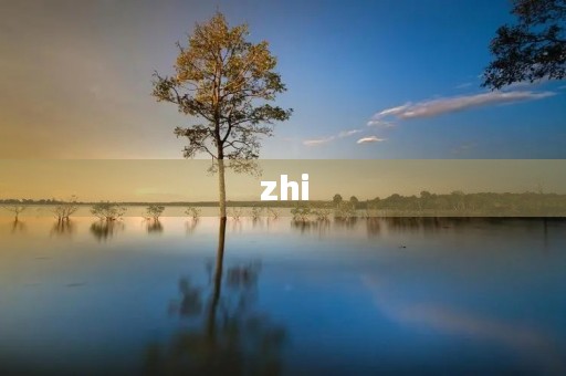 zhi(zhi) zhi(zhi)