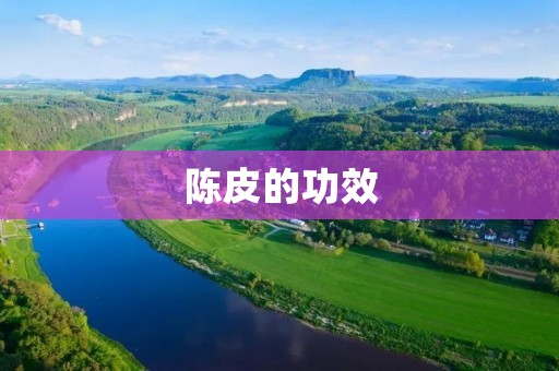 陈皮的功效:带你探究中药世界的神奇之处 陈皮的功效:带你探究中药世界的神奇之处
