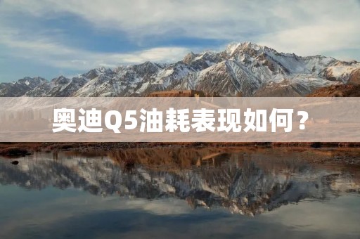 奥迪Q5油耗表现如何? 奥迪Q5油耗表现如何?
