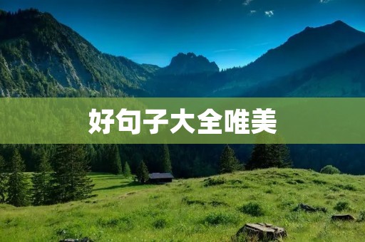 好句子大全唯美