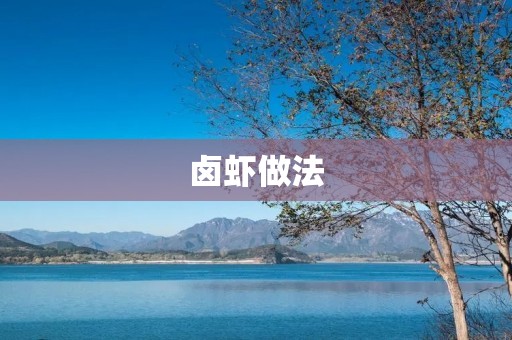 卤虾做法:美味鲜香的家常卤虾配方大公开!