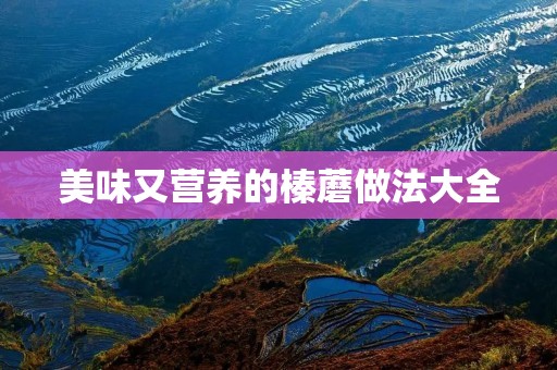 美味又营养的榛蘑做法大全 美味又营养的榛蘑做法大全