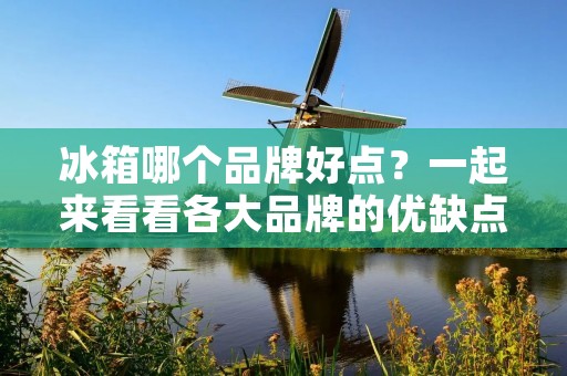 冰箱哪个品牌好点？一起来看看各大品牌的优缺点