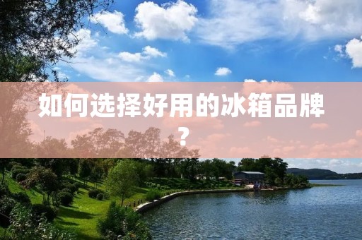 如何选择好用的冰箱品牌？