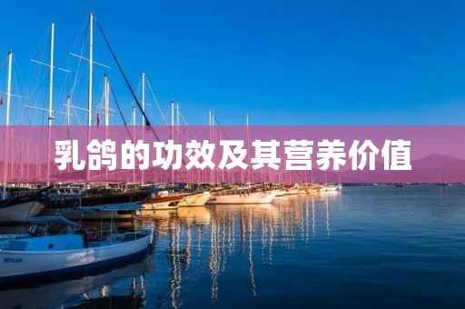 乳鸽的功效及其营养价值 乳鸽的功效及其营养价值