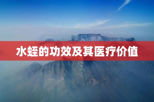 水蛭的功效及其医疗价值 水蛭的功效及其医疗价值