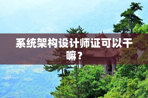 系统架构设计师证可以干嘛？