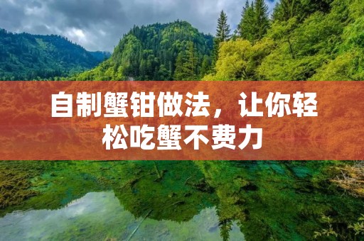 自制蟹钳做法，让你轻松吃蟹不费力