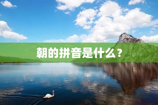 朝的拼音是什么? 朝的拼音是什么?