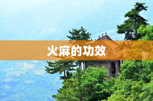 火麻的功效:解读这种植物的神奇之处 火麻的功效:解读这种植物的神奇之处
