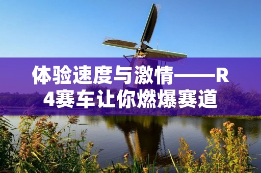 体验速度与**——R4赛车让你燃爆赛道 体验速度与**——R4赛车让你燃爆赛道