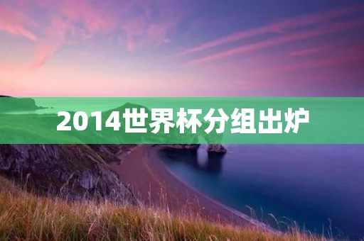 2014世界杯分组出炉：巴西成为头号种子