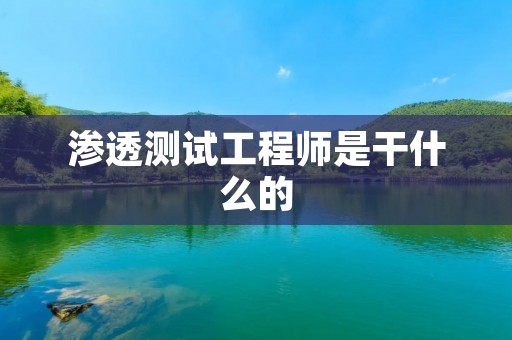 渗透测试工程师是干什么的