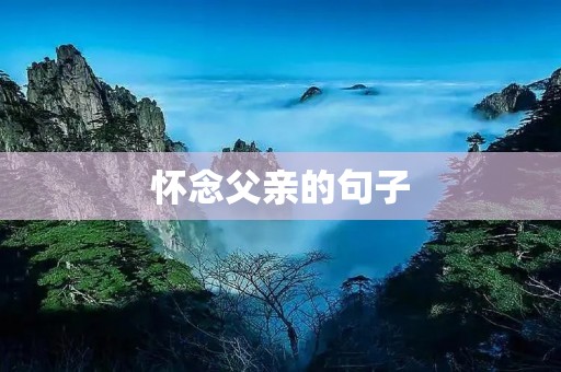 怀念父亲的句子